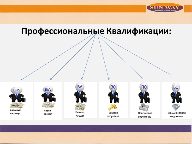 Профессиональные Квалификации: